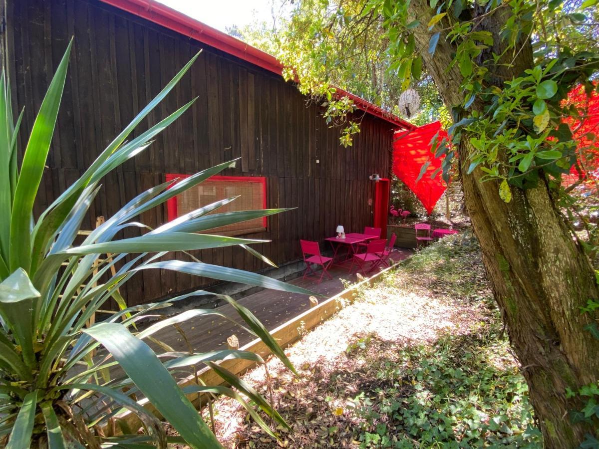 Le Loft Au-Dessus Des Pins Apartment Lacanau Exterior photo